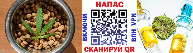 блэк спрут ССЫЛКА  это клад  Алапаевск  Canna-Cookies марихуана  как найти наркотики 